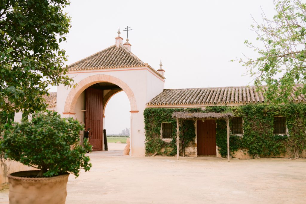 Hacienda La Soledad · foto 3