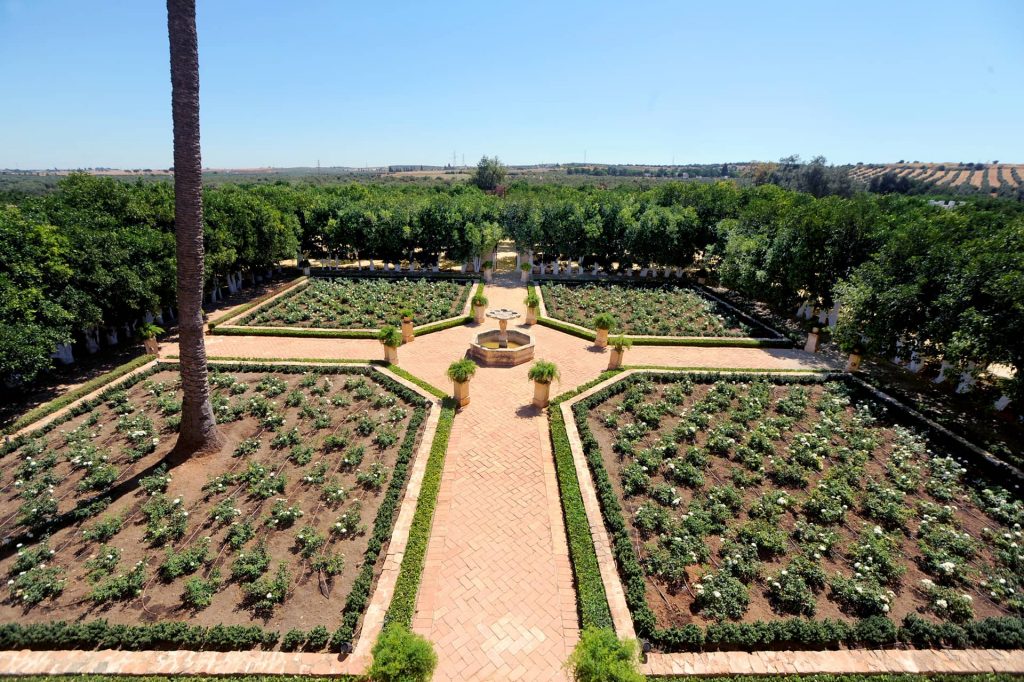 Hacienda La Soledad · foto 7